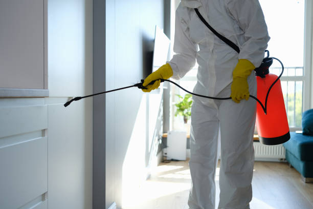 Best Localized Mold Remediation (e.g., coastal areas, humid climates) in Ravenna, MI